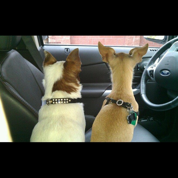 Meet your Posher, Deborah - Picture 1 of 1